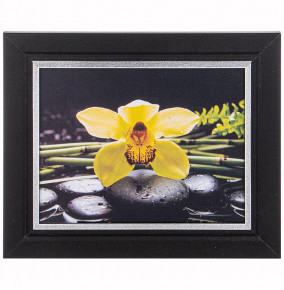 Фотопостер 20 х 25 см  ООО "Лэнд Арт" "Жёлтая орхидея" /рамка черная с серебром / 270148