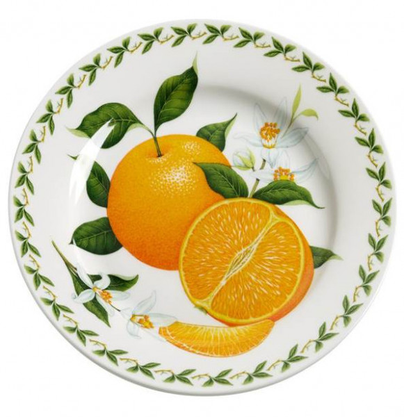 Набор тарелок 20 см 6 шт  Maxwell &amp; Williams &quot;Апельсин&quot; (подарочная упаковка) / 283449