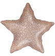 Блюдо 34 см Звезда  Bronco &quot;Starfish sand&quot; / 289174