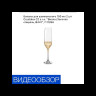 Бокалы для шампанского 190 мл 2 шт  Crystalex CZ s.r.o. "Виола /Золотая спираль /8441" / 111286
